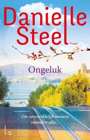 Omslag van Ongeluk