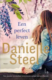 Omslag van Een perfect leven