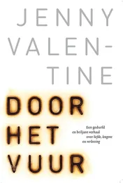 Omslag van Door het vuur