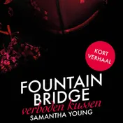 Omslag van Fountain Bridge - Verboden Kussen