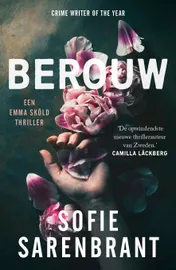 Omslag van Berouw