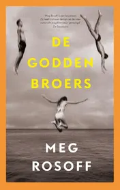 Omslag van De Godden broers