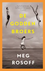 Omslag van De Godden broers