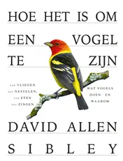 Omslag van Hoe het is om een vogel te zijn