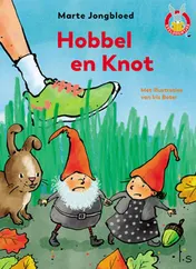 Omslag van Hobbel en Knot