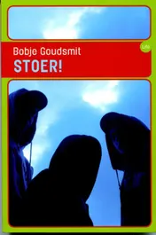 Omslag van Stoer