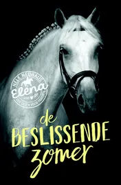 Omslag van De beslissende zomer