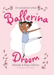 Omslag van Ballerinadroom