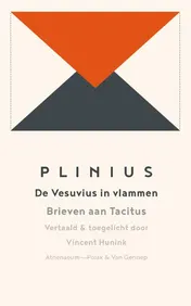 Omslag van De vesuvius in vlammen