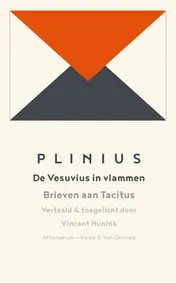 Omslag van De Vesuvius in vlammen