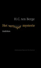 Omslag van Het vertrapte mysterie