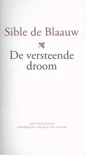 Omslag van De versteende droom. Kees Fens-lezing