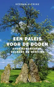 Omslag van Een paleis voor de doden