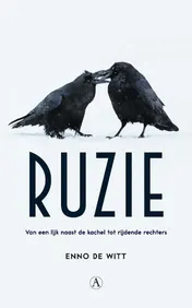 Omslag van Ruzie