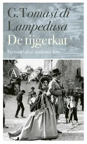 Omslag van De tijgerkat