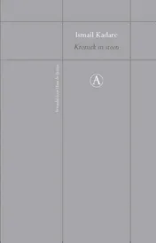 Omslag van Kroniek in steen