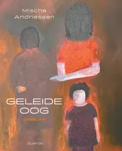 Omslag van Geleideoog