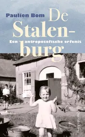 Omslag van De Stalenburg