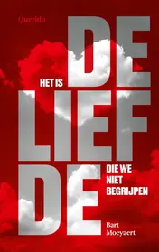 Omslag van Het is de liefde die we niet begrijpen
