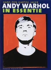 Omslag van Andy Warhol in essentie