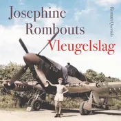 Omslag van Vleugelslag