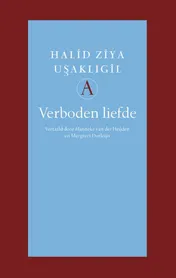Omslag van Verboden liefde