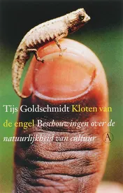 Omslag van Kloten van de engel