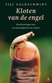 Omslag van Kloten van de engel