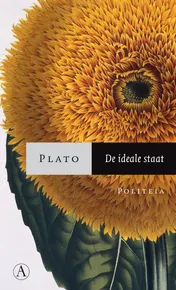 Omslag van De ideale staat