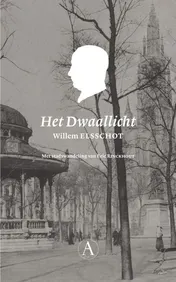 Omslag van Het Dwaallicht