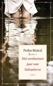 Omslag van Het verdwenen jaar van Salvatierra