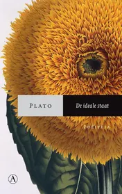 Omslag van De ideale staat