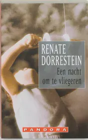 Omslag van Een nacht om te vliegeren