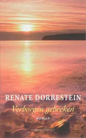 Omslag van Verborgen gebreken