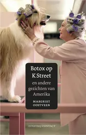 Omslag van Botox op K street