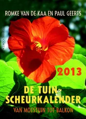 Omslag van 2013