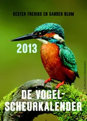 Omslag van 2013