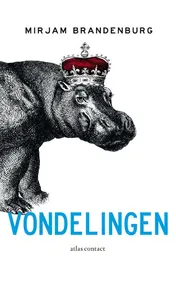 Omslag van Vondelingen