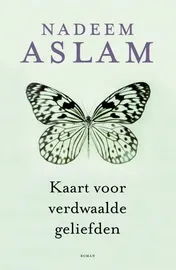 Omslag van Kaart voor verdwaalde geliefden