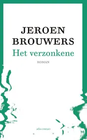 Omslag van Het verzonkene