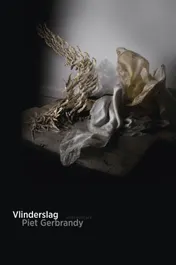 Omslag van Vlinderslag