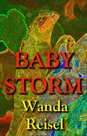 Omslag van Baby Storm