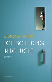 Omslag van Echtscheiding in de lucht
