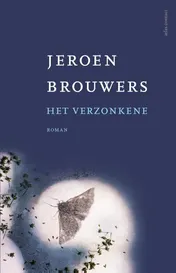 Omslag van Het verzonkene