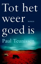 Omslag van Tot het weer goed is
