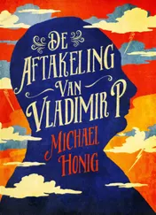 Omslag van De aftakeling van Vladimir P.