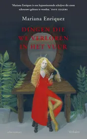 Omslag van Dingen die we verloren in het vuur