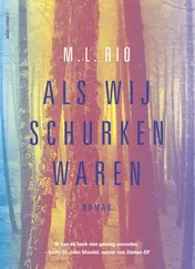 Omslag van Als wij schurken waren