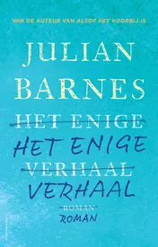 Omslag van Het enige verhaal