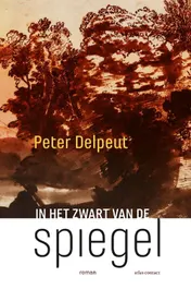 Omslag van In het zwart van de spiegel